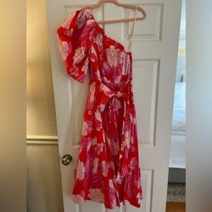 Farm Rio one shoulder puff sleeve midi dress

Mother’s Day
Spring